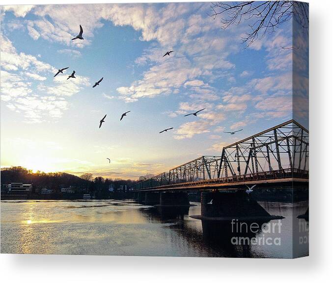 +pixels Canvas Print featuring the photograph Gulls at the Bridge #2 by Christopher Plummer