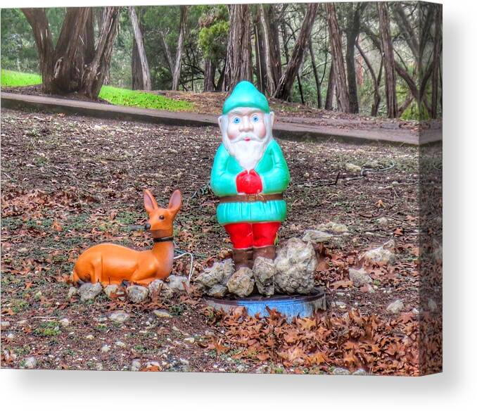 Gnome Canvas Print featuring the photograph HFH by Gia Marie Houck