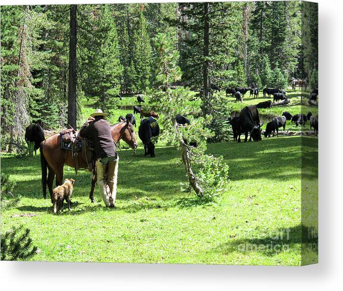 Cowboys Canvas Print featuring the photograph Holding Herd by Diane Bohna
