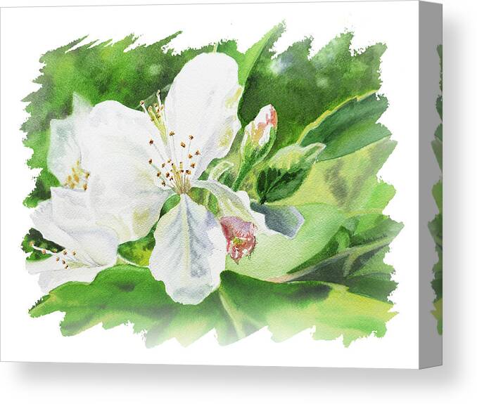 Tree Blossom Canvas Print featuring the painting Impulse Of Nature Watercolor Blossom Flowers Free Brush Strokes II by Irina Sztukowski