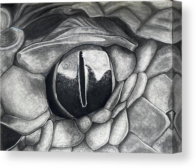 Snake Canvas Print featuring the drawing In The Eye of A Snake by Timber Over
