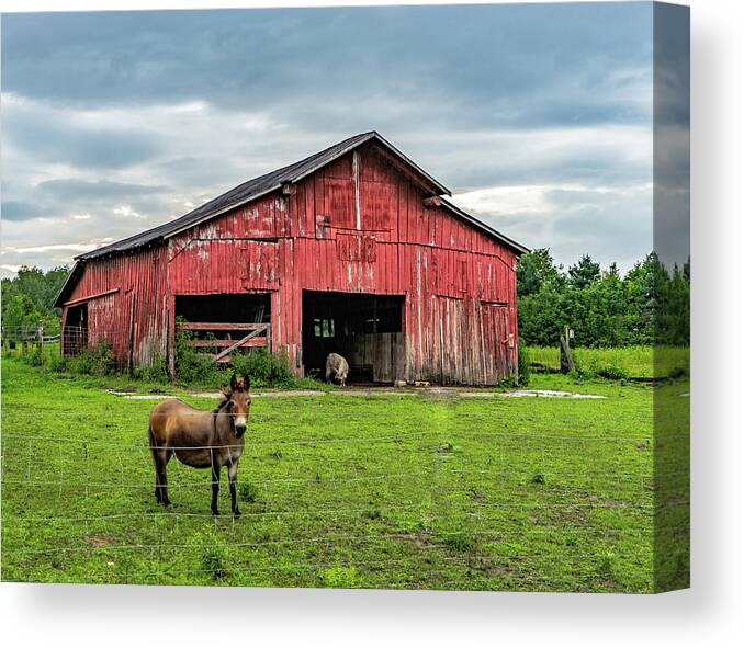 Landscape Canvas Print featuring the photograph Indiana Barn #634 by Scott Smith