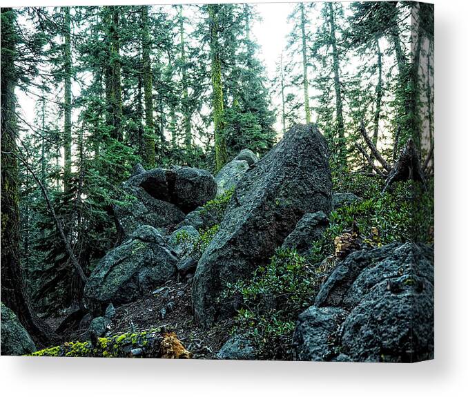 Mt Shasta Canvas Print featuring the photograph Infinity Rock by Rebecca Dru