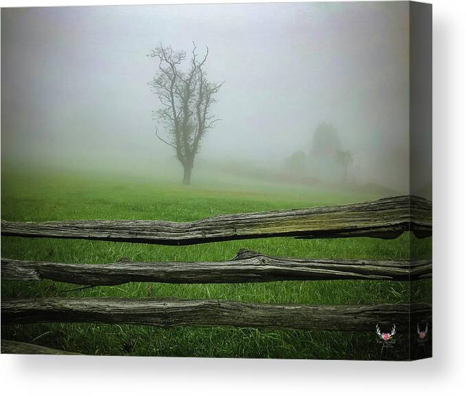Foggy Canvas Print featuring the photograph Into the Mist by Pam Rendall