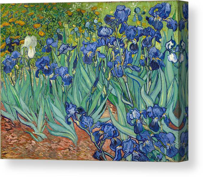 Famous Canvas Print featuring the painting Irises by Vincent Van Gogh