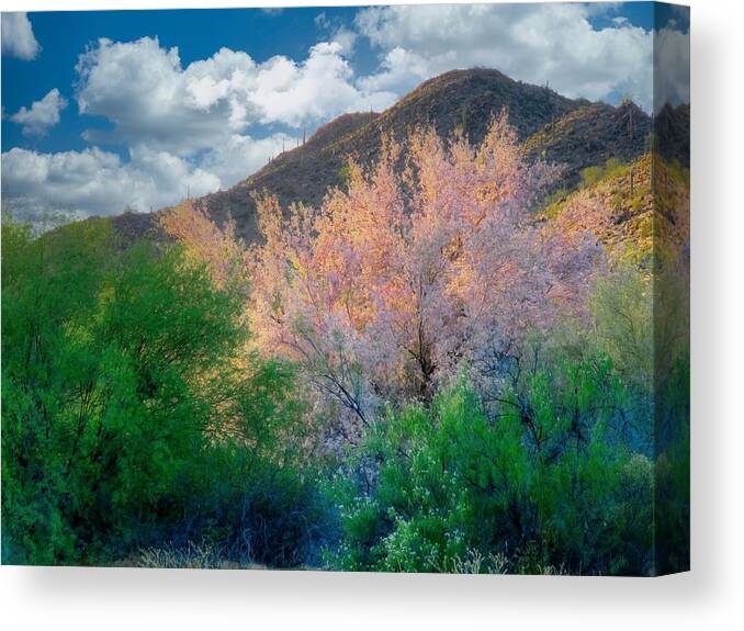 Waywardmuse Canvas Print featuring the photograph Ironwood Flame by Judy Kennedy