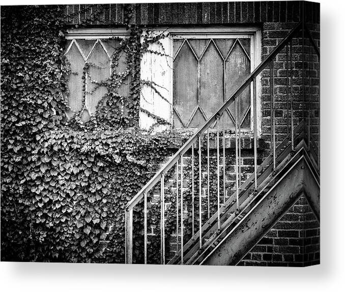  Canvas Print featuring the photograph Ivy, Window And Stairs by Steve Stanger