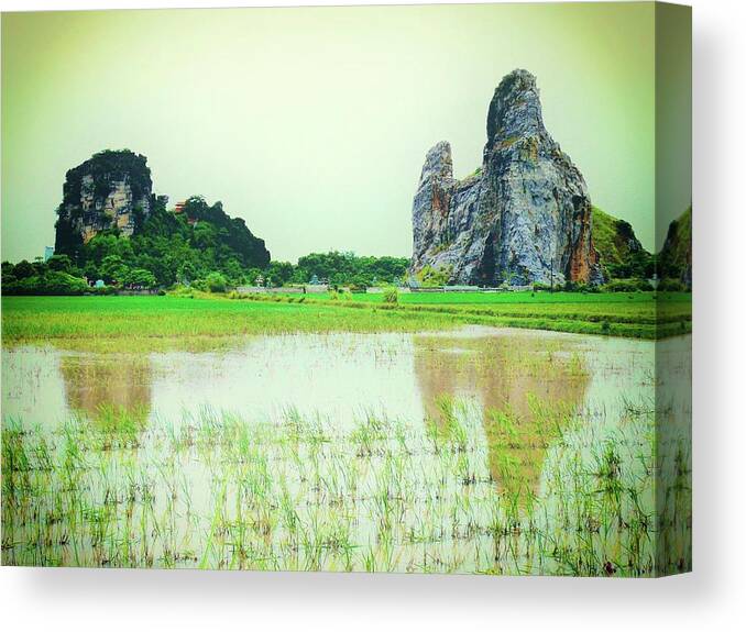 Karst Canvas Print featuring the photograph Karst mountain and paddy field by Robert Bociaga