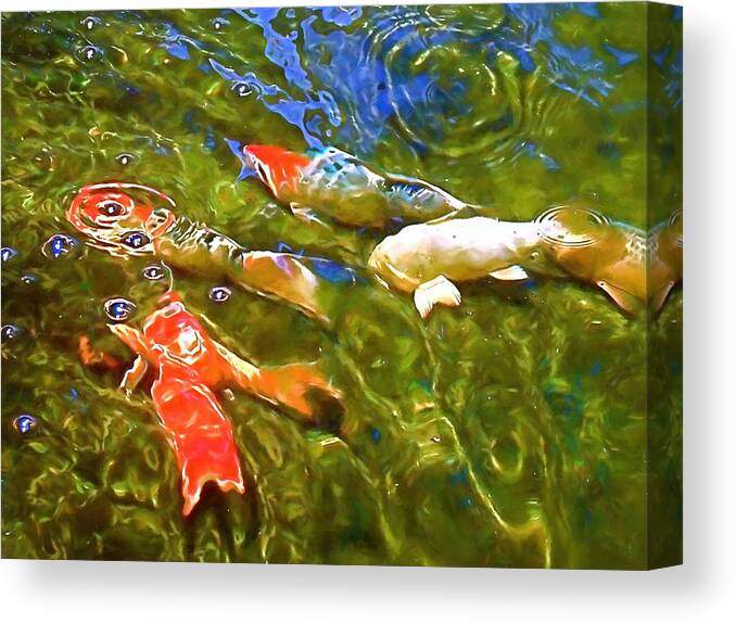 Fish Canvas Print featuring the photograph Koi 1 by Pamela Cooper