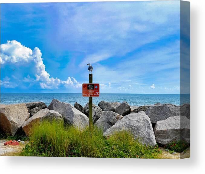 Seagull Canvas Print featuring the photograph Kure Beach Safety Patrol by Lisa Soots