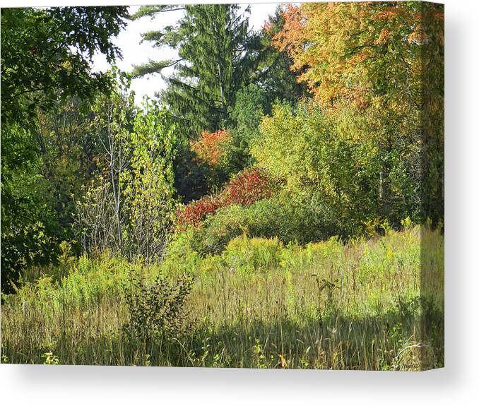 Saratoga County Canvas Print featuring the photograph Landscape with Meadow and Forest with Goldenrod Marching Down the Hill by Lise Winne
