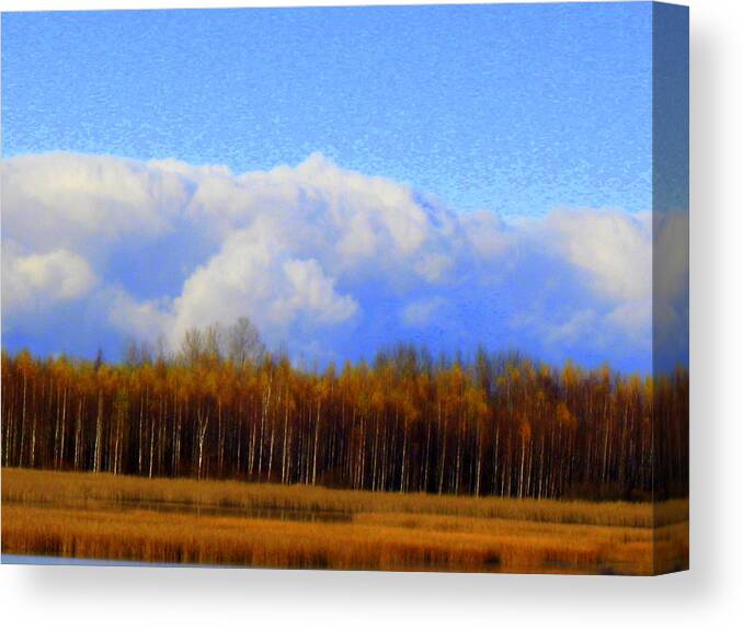 Autumn Canvas Print featuring the photograph Late summer beauty by Pauli Hyvonen
