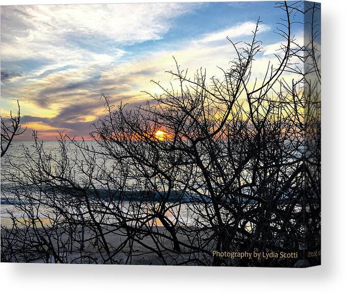Susan Molnar Canvas Print featuring the photograph Late Winter Sunset - Edited in Lightroom by Susan Molnar