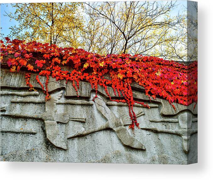 Fall Colors Canvas Print featuring the photograph Leaves at the Levee by Susie Loechler