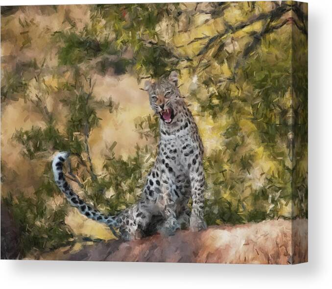 Leopard Canvas Print featuring the painting Leopard Watching by Gary Arnold