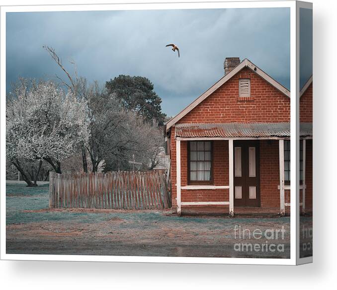 Hail Canvas Print featuring the photograph Light Hail and a Galah 4 by Russell Brown