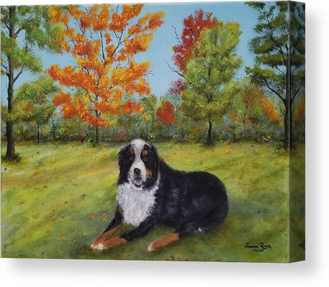 Bernese Mountain Dog Canvas Print featuring the painting Louie by Judith Rhue