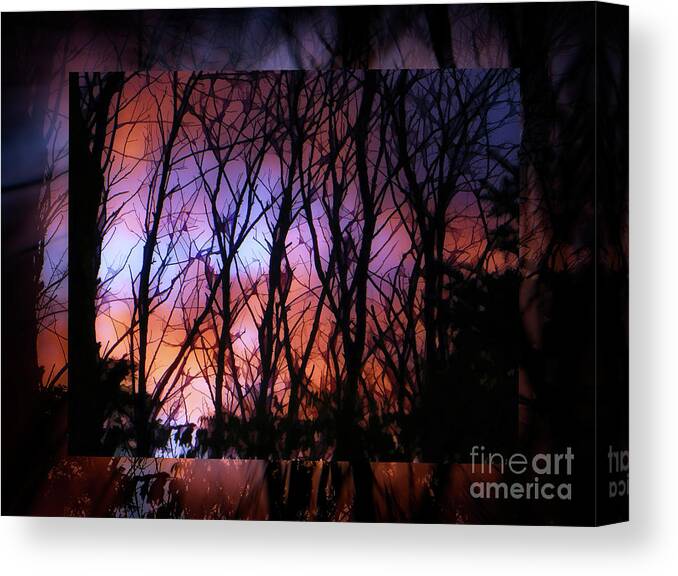 Trees Canvas Print featuring the photograph Magic Dawn by AnnMarie Parson-McNamara