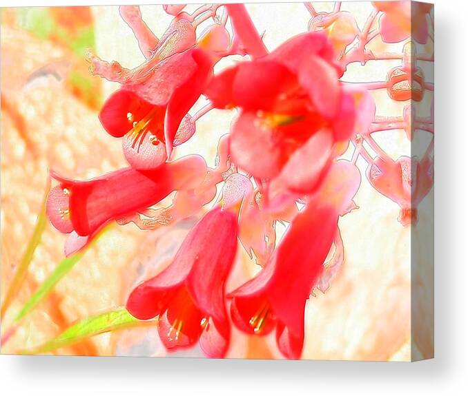 #magical #digitaledit #summerbells #ringingcheer #aloeblooms #gulfcoast Canvas Print featuring the photograph Magical Summer Bells by Belinda Lee