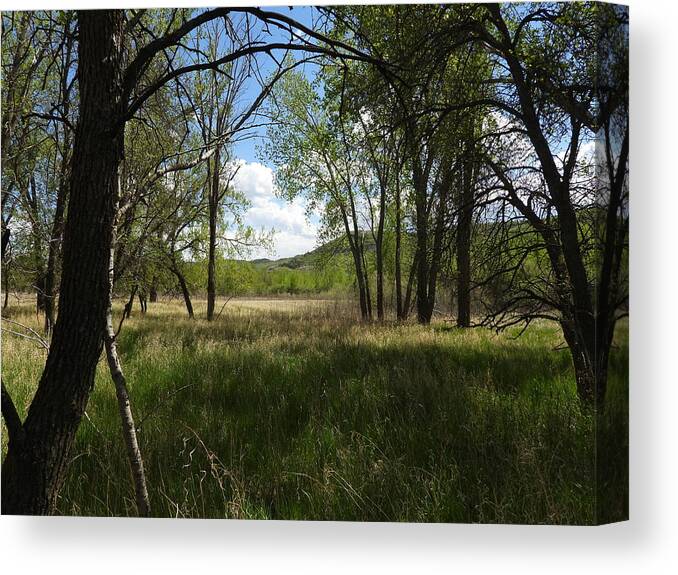 Meadow Canvas Print featuring the photograph Meadow Through The Trees by Amanda R Wright