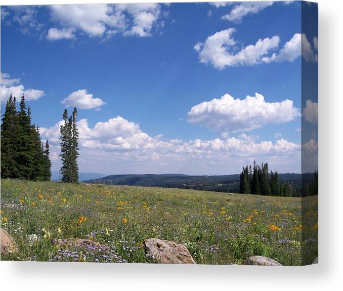 Mountains Canvas Print featuring the photograph Meadows And Mountains by Amanda R Wright