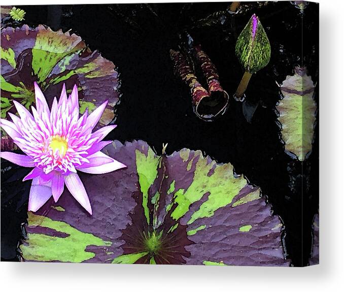 Waterlily Canvas Print featuring the mixed media Midnight Serenade Purple Waterlily by Deborah League