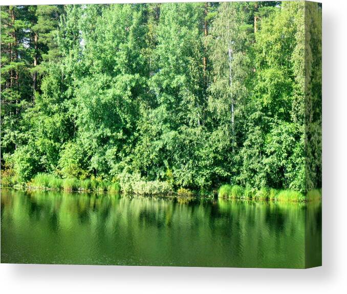 Summer Canvas Print featuring the photograph Midsummer by Pauli Hyvonen