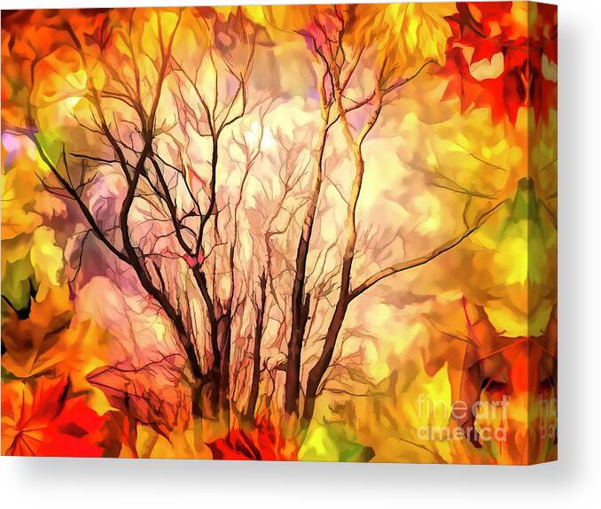 Photography Canvas Print featuring the digital art Missing Autumn by Debra Lynch