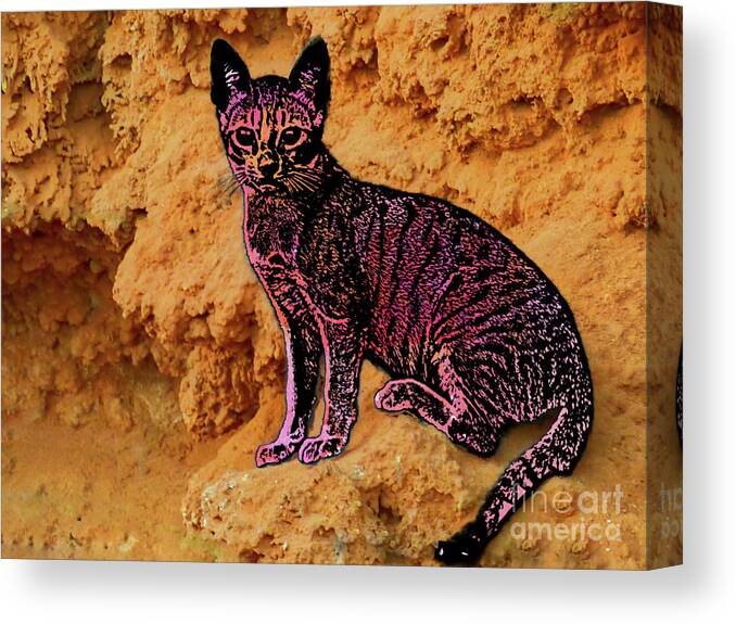Digital Art Canvas Print featuring the photograph Modified cat by Pics By Tony