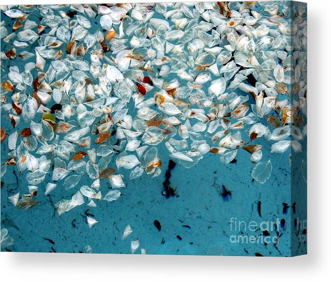Simplify Structures Canvas Print featuring the photograph Nature's Abstract #2 by Marcia Lee Jones
