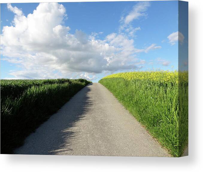 Path Canvas Print featuring the mixed media on the way from Switzerland by Joelle Philibert