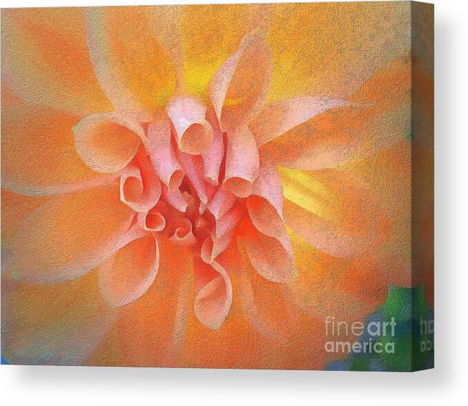 Dahlia Canvas Print featuring the photograph Orange Dahlia with an Inner Glow by Sea Change Vibes