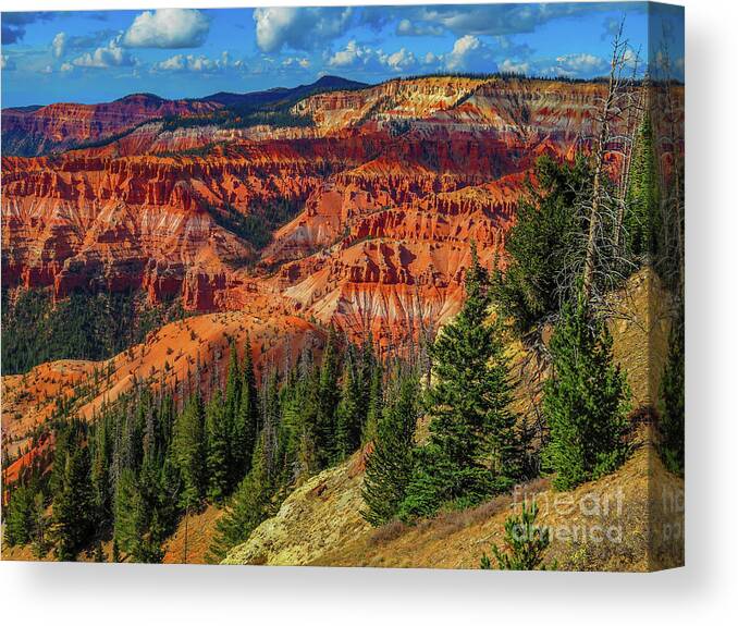 Landscape Canvas Print featuring the photograph Orange Land by Seth Betterly