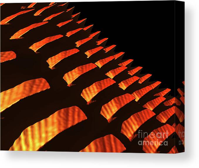 Scales Canvas Print featuring the digital art Orange Reptile Scales by Phil Perkins