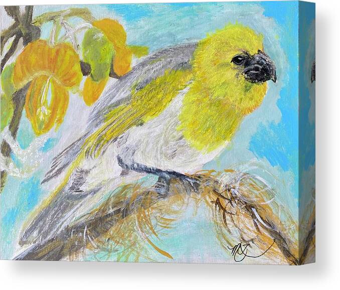 Palila Canvas Print featuring the painting Palila in the Mamane Tree by Melody Fowler