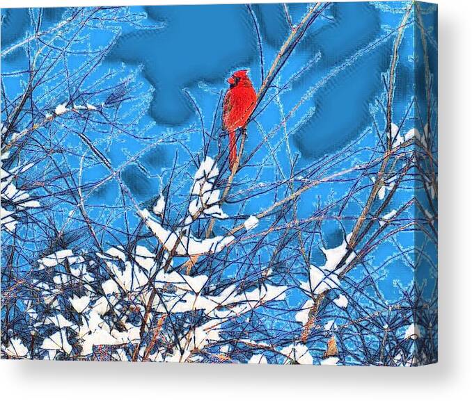 Nature Canvas Print featuring the digital art Peace by Robert Nacke