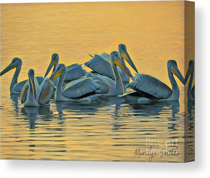 Mississippi Canvas Print featuring the painting Pelicans by Marilyn Smith