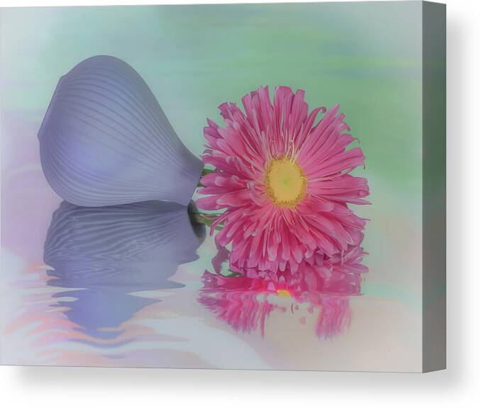 Pink Aster Canvas Print featuring the photograph Pink Asters Beauty by Sylvia Goldkranz