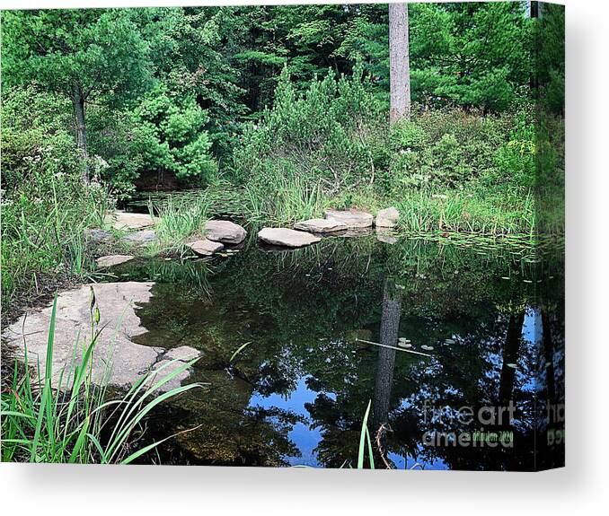 Peace Canvas Print featuring the digital art Pond Edge with Reflection by Dee Flouton