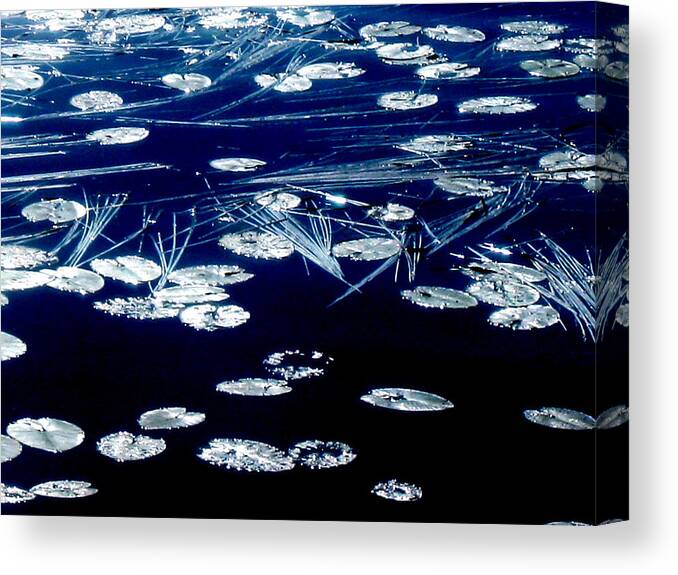 Pond Canvas Print featuring the photograph Pond in moonlight by Pauli Hyvonen