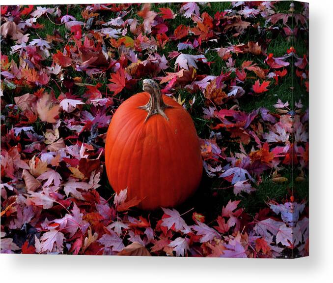 Pumpkins Canvas Print featuring the photograph Pumpkin and Autumn Leaves by Linda Stern
