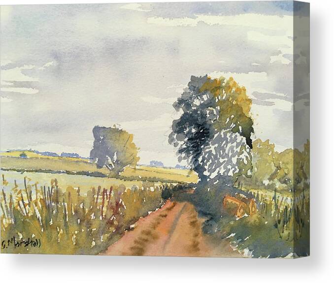 Watercolour Canvas Print featuring the painting Quickthorn by Glenn Marshall