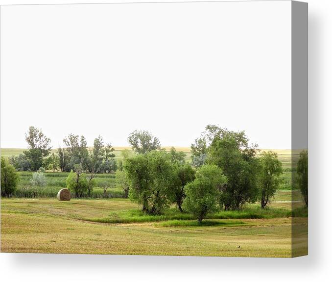 Field Canvas Print featuring the photograph Rainy Hay Field by Amanda R Wright