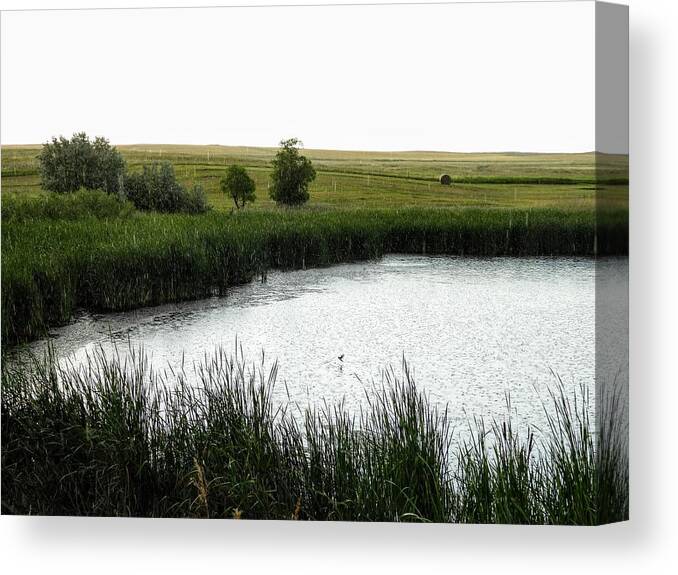 Pond Canvas Print featuring the photograph Rainy Pond by Amanda R Wright