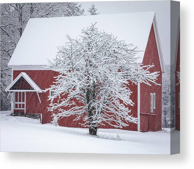 Maine Canvas Print featuring the photograph Red Barn in Snow by Colin Chase
