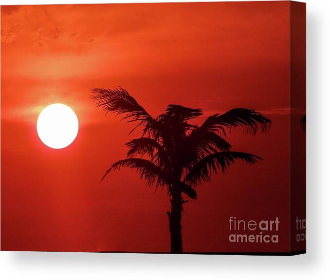 Sunrise Canvas Print featuring the photograph Red Sky in the Morning by Eddy Mann