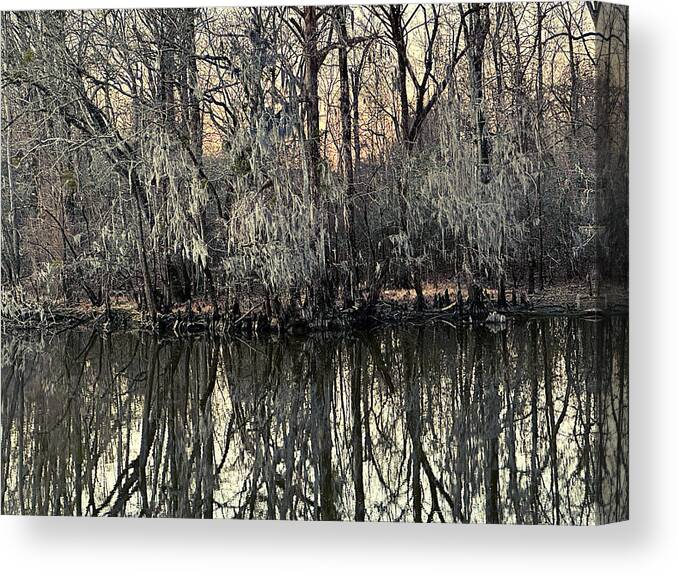 Moss Canvas Print featuring the photograph Reflecting Abstract by Lee Darnell