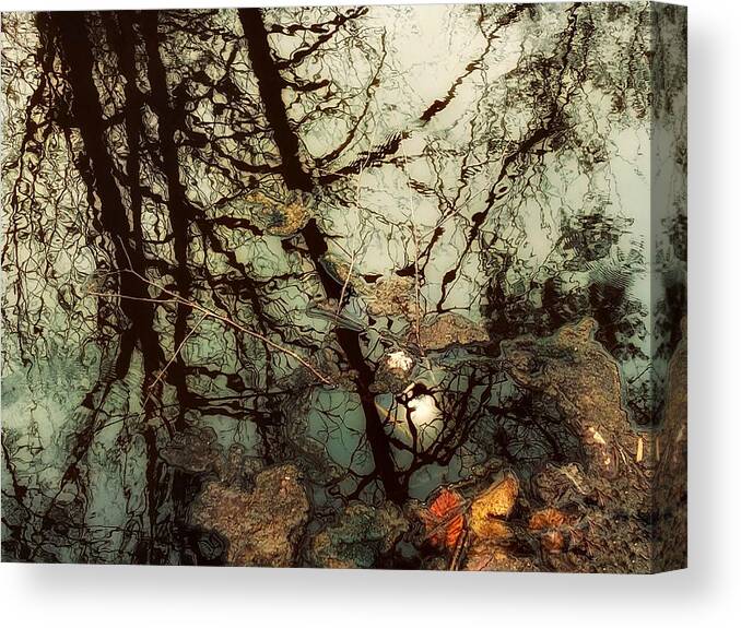 Canvas Print featuring the photograph Reflections by Lisa Burbach