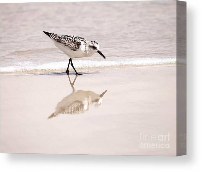 On The Road Again Canvas Print featuring the photograph Reflective Sandpiper by Tony Lee