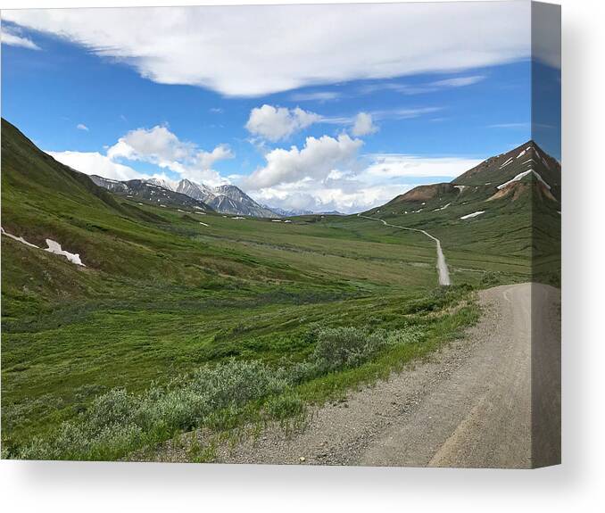 Road Canvas Print featuring the photograph Road to McKinley by Ed Stokes